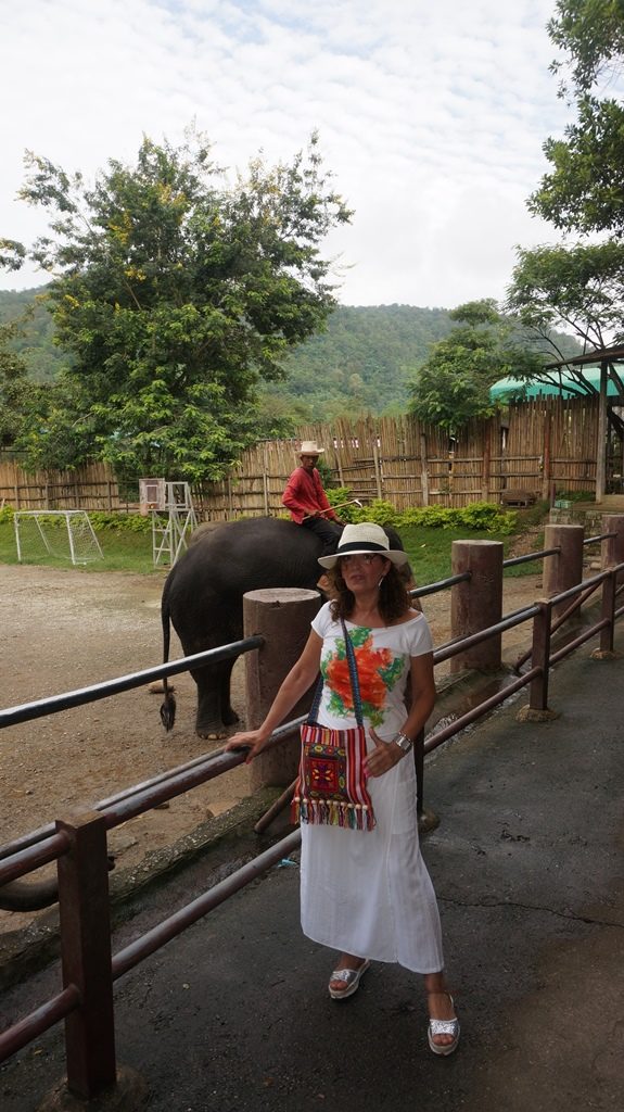chiangmai-elefantes3-me